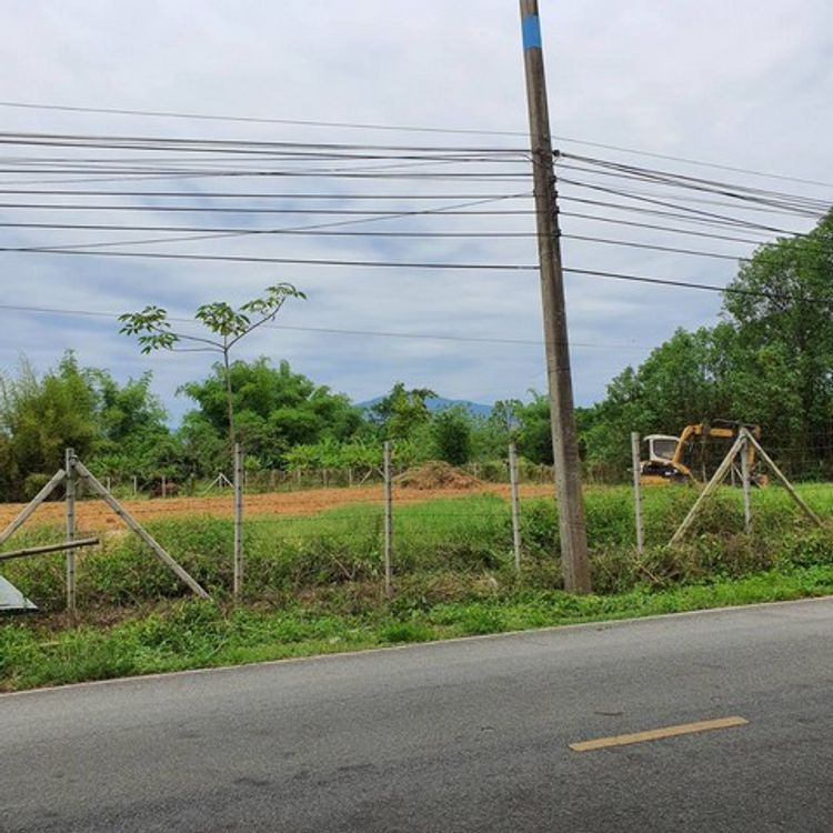 DD-0111 ขายที่ดินติดน้ำปิง 513 ตร.วาๆ ละ 13,000บ สบแม่ข่า, ภาพที่ 4