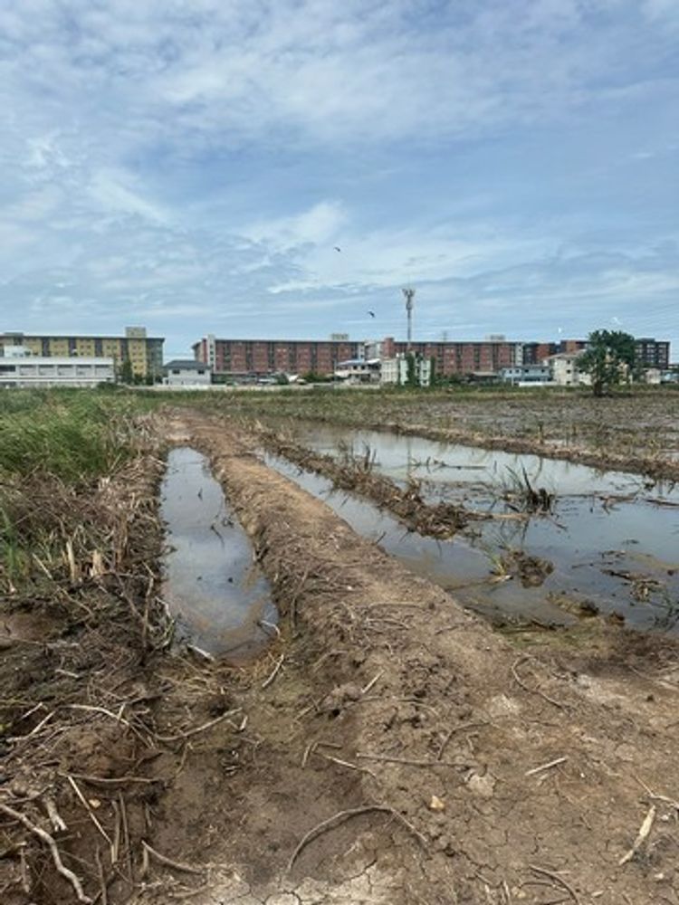 ขายที่ดิน 6ไร่ ซอยโรงแรม รอแยล อินน์  คลองหลวง27 ปทุมธานี  ZT228 , ภาพที่ 4