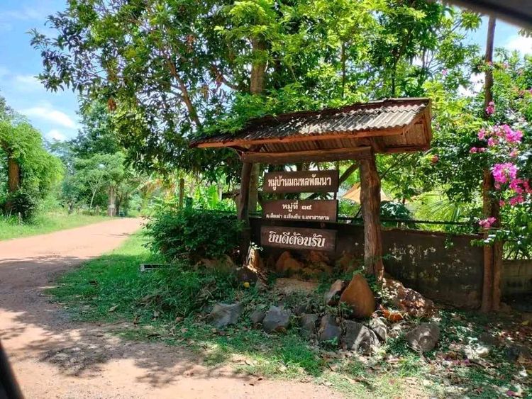 ขาย ที่ดิน ตำบลกู่ทอง อำเภอเชียงยืน จังหวัดมหาสารคาม, ภาพที่ 4