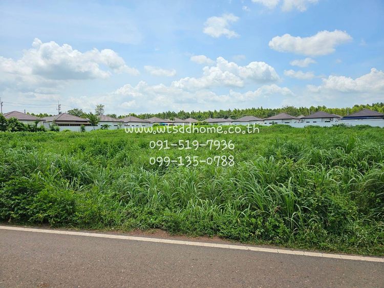 ขาย ที่ดิน ตำบลท่าตูม อำเภอศรีมหาโพธิ จังหวัดปราจีนบุรี, ภาพที่ 4