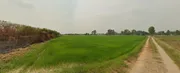 ขาย ที่ดิน 43-3-56.6 ไร่ ตำบลหนองจิก อำเภอหนองแค จังหวัดสระบุรี