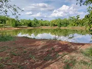 ขายด่วน!! ที่ดินสวนเกษตร 4 ไร่  420,000 บาท ติดถนน 3036 เลี่ยงเมือง.ชนแดน-พิจิตร ติดฟาร์มเพชรบูรณ์ เจ้าของขายเอง โทร 0811721770