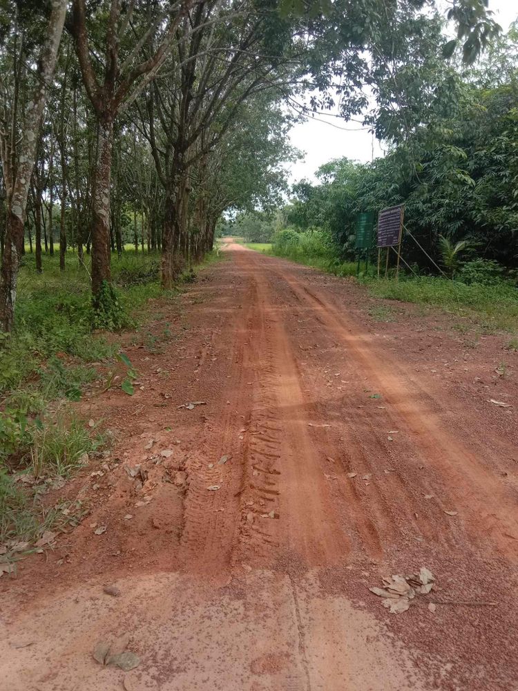 ขาย ที่ดิน ตำบลศรีวิไล อำเภอศรีวิไล จังหวัดบึงกาฬ, ภาพที่ 4