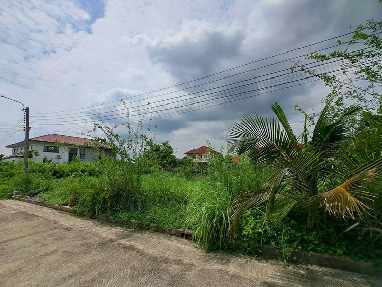 ขาย ที่ดิน บ้านปัญญาเลคโฮม แปลงมุม Land for sale Baan Panya Lake Home, ภาพที่ 4