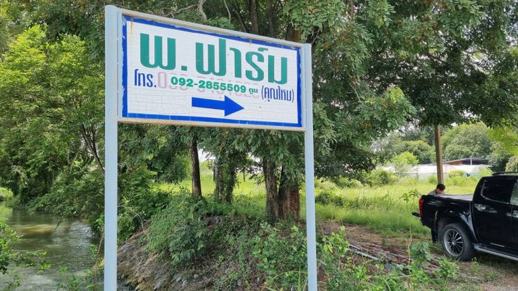 ขายที่ดิน บ้านเขาพะเนียง -เขาเพิ่ม บ้านนา,นครนายก, ภาพที่ 4