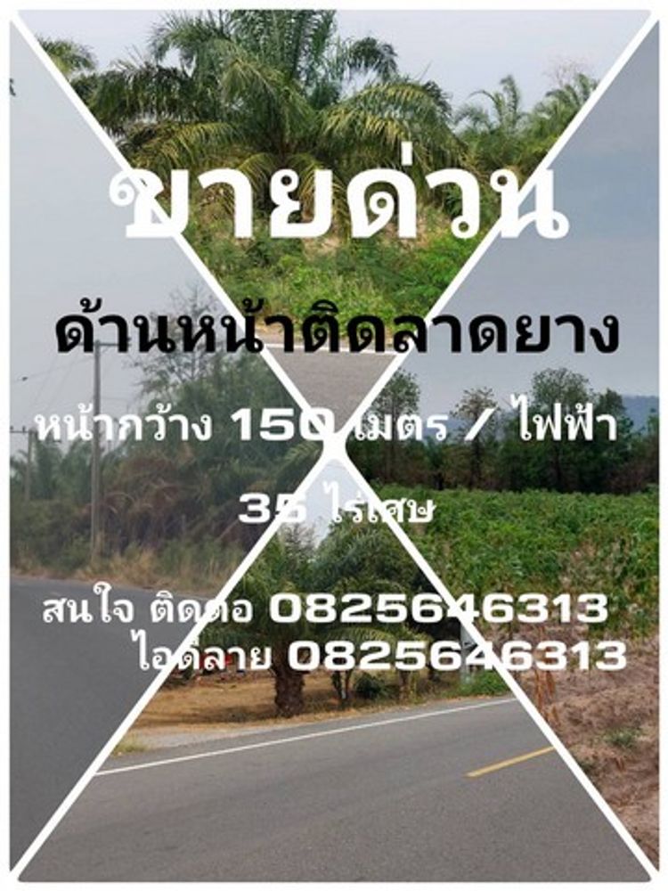 ขายที่ดิน ราคาโครตถูก หน้าติดถนนสาธารณะ ลาดยาง อ.เนินขาม จ.ชัยนาท จำนวน, ภาพที่ 4