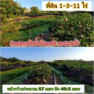 ขายถูกที่สุด!! ที่ดินไทรใหญ่ 711 ตารางวา ติดถนนคอนกรีตสาธารณะ ถนน นบ.3015 อ.ไทรน้อย จ.นนทบุรี👉095-879-4465