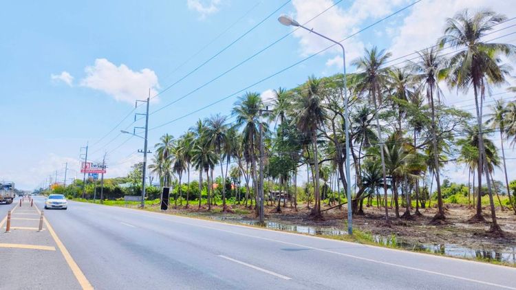 ขาย ที่ดิน ทำเลดีหน้ากว้างติดถนน261ม. ใกล้เมือง  ที่ดิน 8 ไร่ 2 งาน, ภาพที่ 4