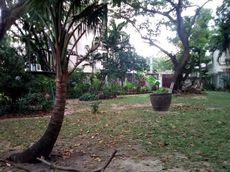 ขายที่ดินพร้อมบ้าน 2 หลังซ.สุขุมวิท 66/1 ใกล้ BTS อุดมสุข 350 ม.1 ไร่, ภาพที่ 4