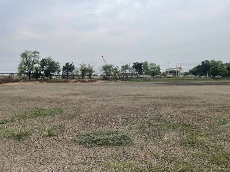 ขาย ที่ดิน ขายด่วนราคาถูก ที่ดินป่าว ติดถนนบางพลีตำหรุ 10 ไร่ 60.1, ภาพที่ 4