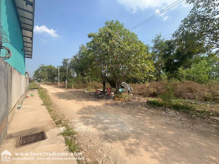 ขายที่ดิน ถมแล้ว คลองหลวง คลอง5 ถนนธัญบุรี ปทุมธานี พื้นที่ 84 ตรว., ภาพที่ 4