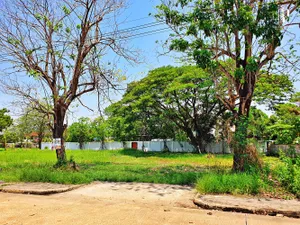 ลดราคา ขายที่ดินแปลงสวยถมแล้ว 122 ตร.ว. ในโครงการสารินปาร์ค คลอง 5 ต.รังสิต อ.ธัญบุรี ปทุมธานี