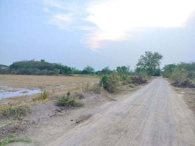 ขาย ที่ดินสวย คลองโยง ศาลายา 399 ตร.วา ทำการเกษตร, ภาพที่ 4