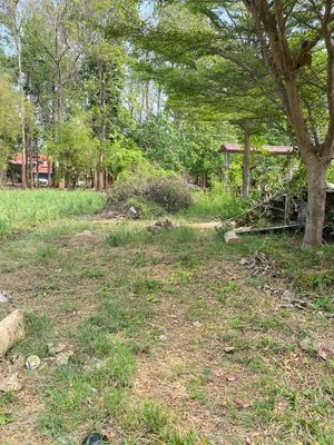 ขาย ที่ดิน ตำบลชมพู อำเภอเนินมะปราง จังหวัดพิษณุโลก