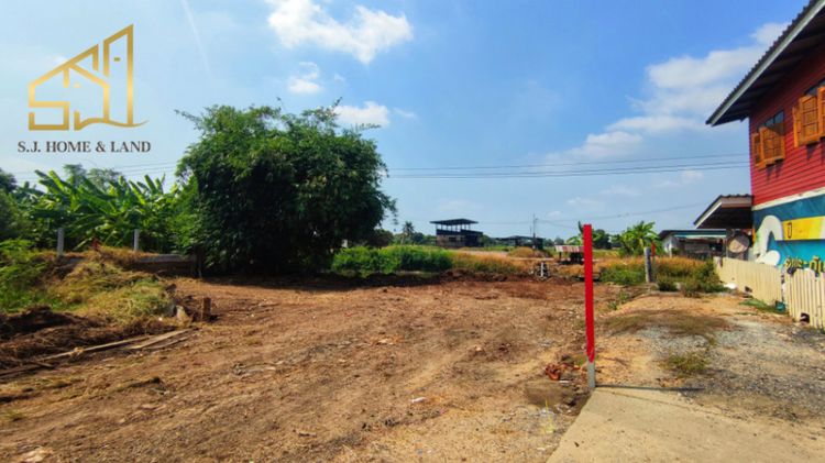 ที่ดินริมน้ำ อ. บางไทร อยุธยา ฝั่งน้ำไม่ท่วม ID-13876, ภาพที่ 4