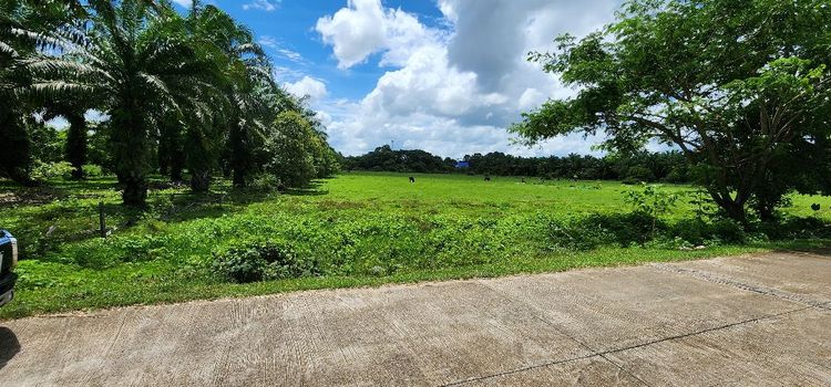 ขาย ที่ดิน ขายที่ดินเปล่าเมืองตรัง ขายที่ดินเมืองตรัง ขายที่ดินกันตัง13, ภาพที่ 4