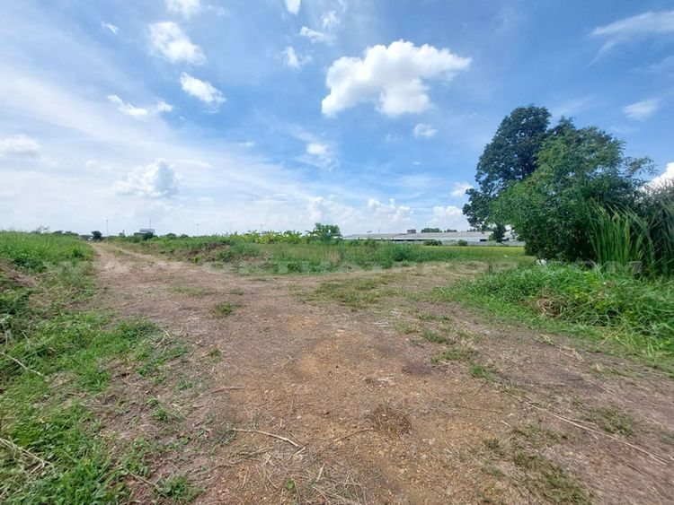 ที่ดินจัดสรรล็อคที่ 9 อยู่ฝั่งขวามือ ถ.346 ลาดหลุมแก้ว ปทุมธานี, ภาพที่ 4