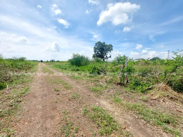 ที่ดินจัดสรรล็อคที่ 18 อยู่ฝั่งขวามือ ถ.346 ลาดหลุมแก้ว ปทุมธานี, ภาพที่ 4