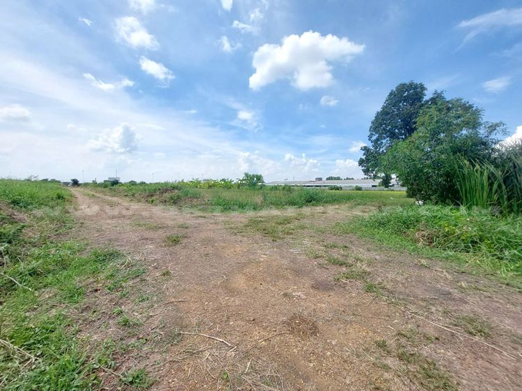 ที่ดินจัดสรรล็อคที่ 10 อยู่ฝั่งขวามือ ถ.346 ลาดหลุมแก้ว ปทุมธานี, ภาพที่ 4