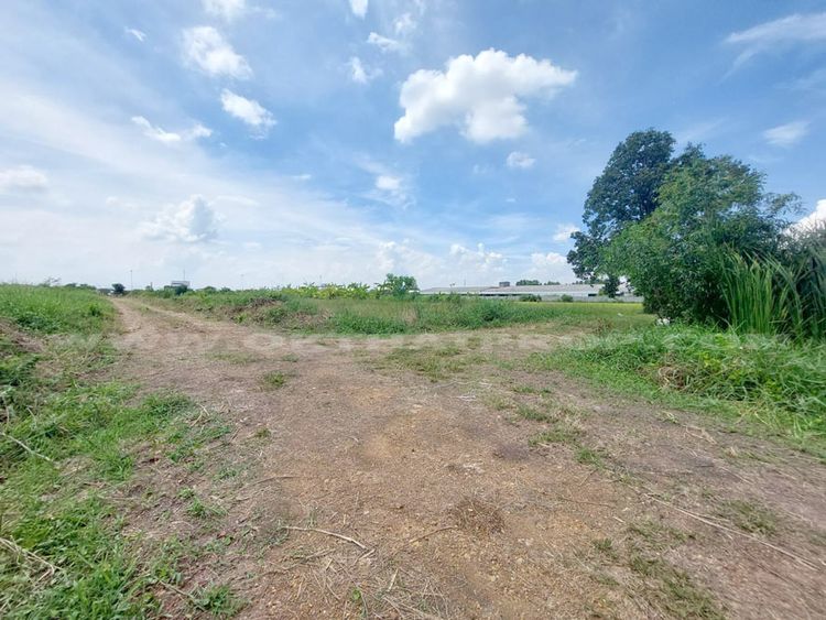 ขาย ที่ดินจัดสรรล็อคที่ 20 อยู่ฝั่งขวามือ ถ.346 อ.ลาดหลุมแก้ว, ภาพที่ 4