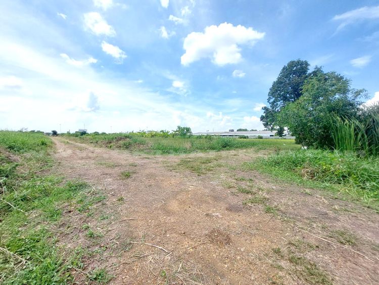 ที่ดินจัดสรรล็อคที่ 23 อยู่ฝั่งขวามือ ถ.346 ลาดหลุมแก้ว ปทุมธานี, ภาพที่ 4