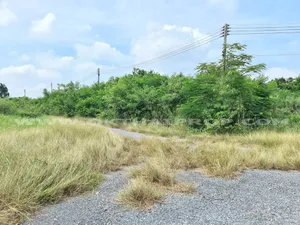 ที่ดิน ม.วังแก้วปาร์คฮิลล์ ถ.มวกเหล็ก – สวนมะเดื่อ (ทล.2273) สระบุรี
