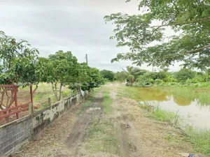 ขาย โกดัง / โรงงาน แขวงหนองจอก เขตหนองจอก กรุงเทพมหานคร
