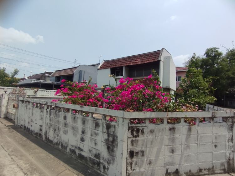 ขายที่ดินพร้อมสิ่งปลูกสร้าง หมู่บานโสภางามวงศ์วานแยกแคราย, ภาพที่ 4