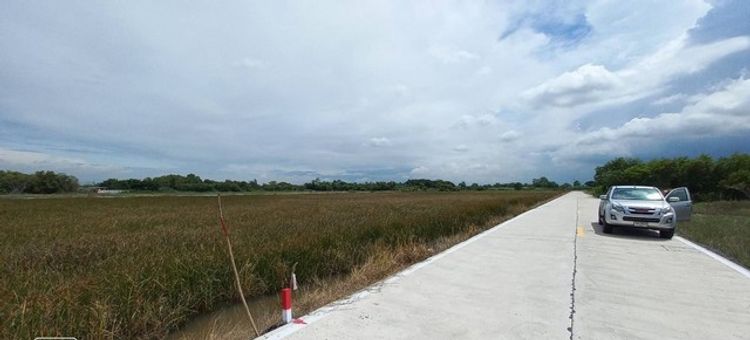 ขายที่ดินคลองสี่  ซ.คลองสี่ตะวันออก53  ติดถนนคอนกรีต แหล่งชุมชน  , ภาพที่ 4