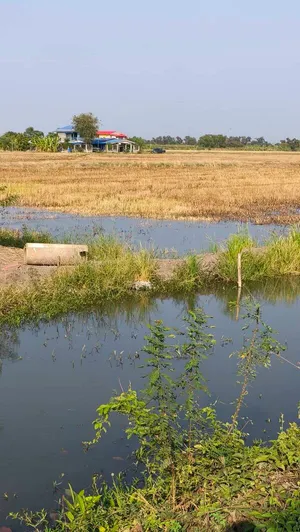 ที่ดินเปล่า เหมาะสำหรับทำที่พักอาศัย ลาดหลุมแก้ว จ. ประทุมธานี