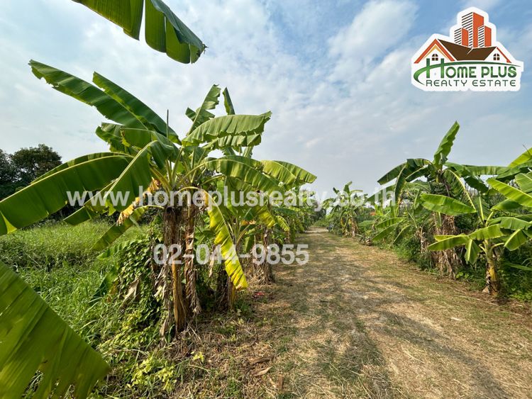 ที่ดินใกล้ถนนครูแสวงแสงแป้น ตำบลเสาธงหิน อำเภอเมือง นนทบุรี เนื้อที่, ภาพที่ 4