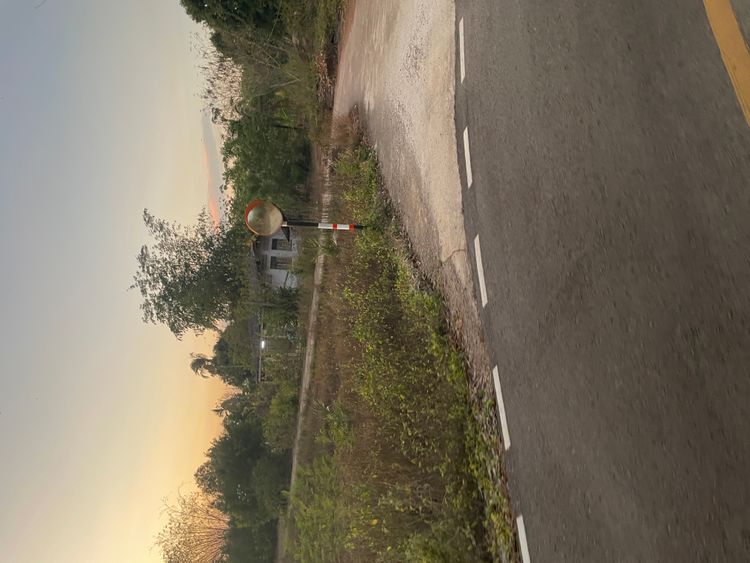 ขายที่ดิน 6 ไร่ ติดถนน2ด้าน สุโสะ ปะเหลียน ตรัง, ภาพที่ 4