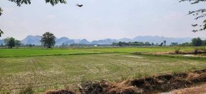 ขาย ที่ดิน สวย ใกล้สะพานข้ามแม่น้ำแควและคาเฟ่ ID-13853