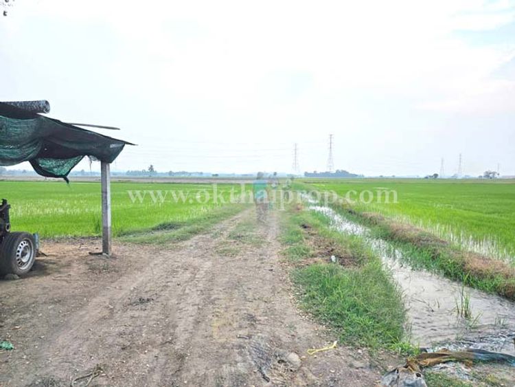 ที่ดิน ถนนสายเอเชีย 32 (กม.128) อ.สรรพยา จ.ชัยนาท, ภาพที่ 4