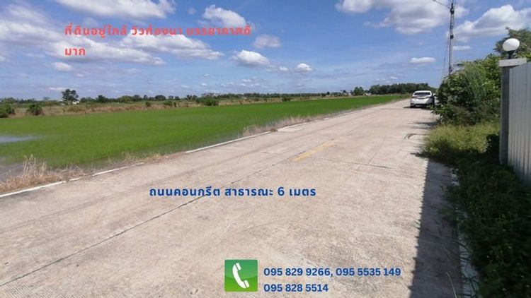 ขายที่ดิน 1-3-55 ไร่ ติดถนนซอย หน้ากวาง 61 เมตร คลอง5 คลองหลวง ปทุมธานี, ภาพที่ 4