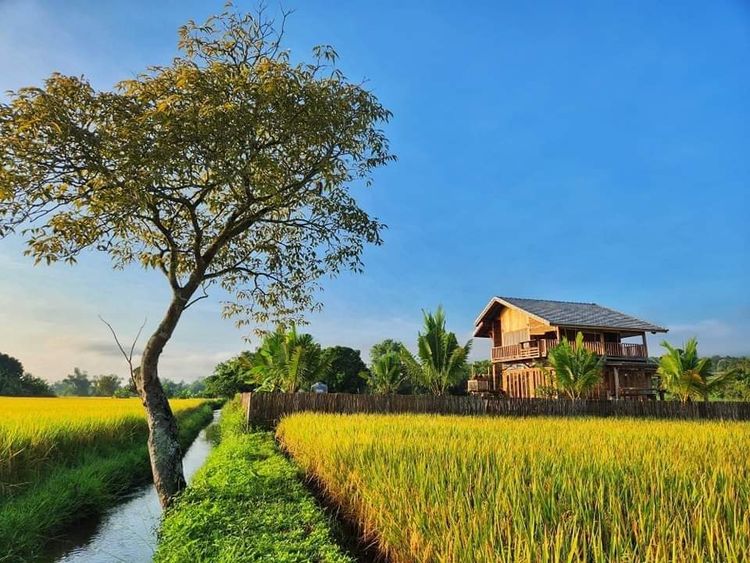 ขาย บ้าน  บ้านสวนเชียงใหม่ ตำบลสบเปิง อำเภอแม่แตง จังหวัดเชียงใหม่, ภาพที่ 4