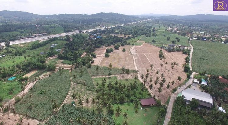 ขายที่ดิน แปลงสวย เหมาะลงทุน ทำเลดี 20-3-60.3 ไร่ ใกล้ถนนหมายเลข 36- , ภาพที่ 4