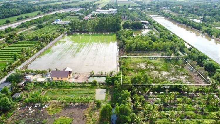 ที่ดินคลอง10 ติดถนนคอนกรีต 3 ไร่ ซอยเทศบาล 6 อ.หนองเสือ จ.ปทุมธานี, ภาพที่ 4