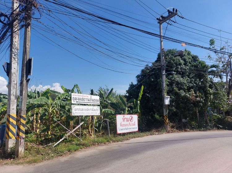 ขาย ที่ดิน ตำบลบางพระ อำเภอศรีราชา จังหวัดชลบุรี, ภาพที่ 4