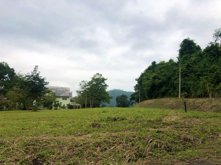 ขายที่ดิน 470 ตร.ว ย่านอ.มวกเหล็ก จ.สระบุรี แปลงมุม  Forest Hill, ภาพที่ 4