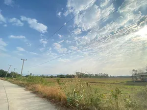 TM650186 ที่ดินแบ่งขาย 8 ไร่ ต.หนองยายดา อ.ทัพทัน จ.อุทัยธานี