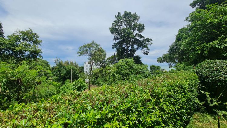 Brilliant and High Quality Constructed Villa overlooking Green Area 2, ภาพที่ 4