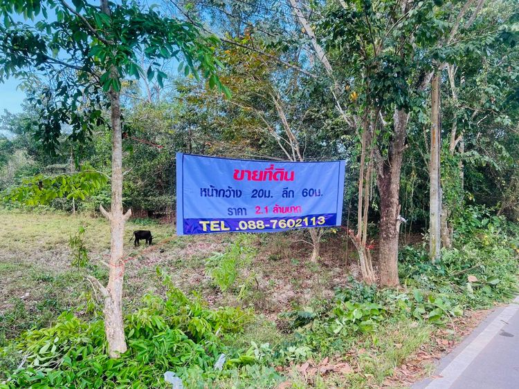 ขายที่ดิน ติดกับ บ่อน้ำร้อน เขาชัยสน, ภาพที่ 4