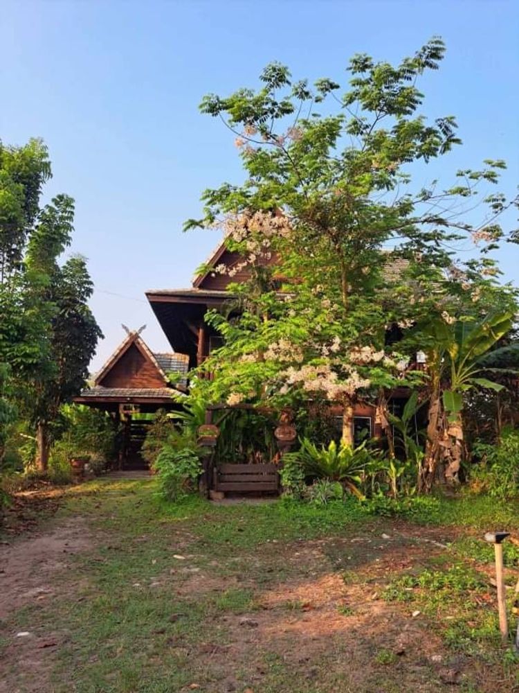 บ้านสวนสวย ติดน้ำ ให้เช่า 16,000 บาท/เดือน หารแก้ว หางดง สไตล์ล้านนา, ภาพที่ 4