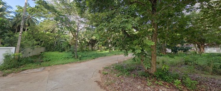 ที่ดิน ที่พักตากอากาศ ริมทะเล ชุมพร 209.1 ตร.วา ราคาพิเศษ ใกล้เมือง, ภาพที่ 4