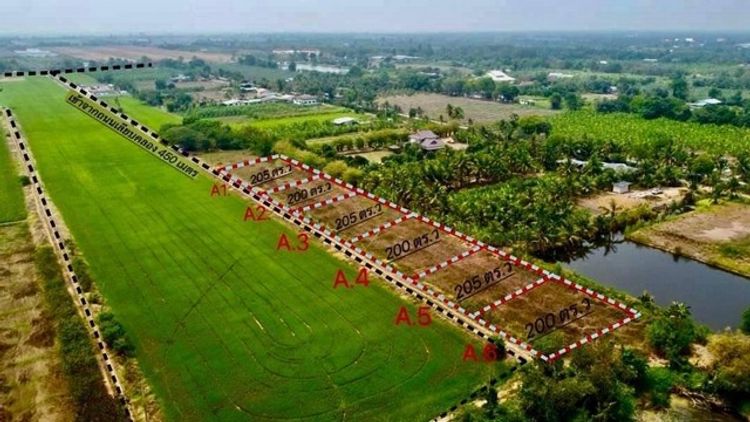 ที่ดินคลอง9 หนองเสือ ปทุมธานี ห่างตลาดคลองเก้า 5 กม., ภาพที่ 4
