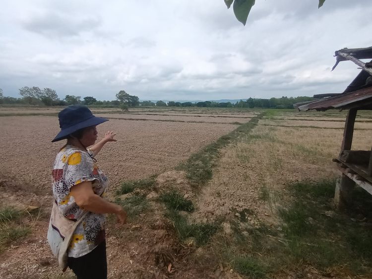 ขายที่นา 4ไร่ โฉนด  บ้านหนองสระ จ.พะเยา, ภาพที่ 4