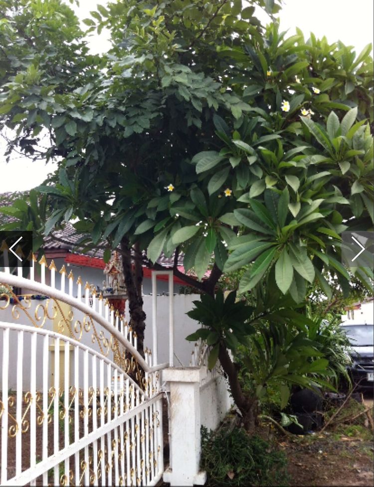 U1288 ให้เช่าบ้านเดี่ยวชั้นเดียว ถนนตัดใหม่ตัวเมืองร้อยเอ็ด, ภาพที่ 4