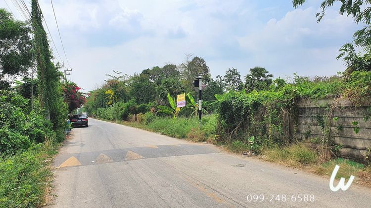 ขายที่ดินเปล่า 200 ตรว. คลองสี่ คลองหลวง ปทุมธานี เหมาะปลูกบ้าน ทำโกดัง, ภาพที่ 4