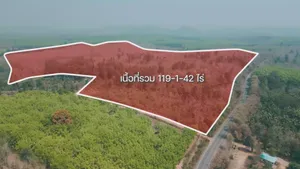ขายที่ดิน 119 ไร่ ติดถนนบ้านฝายแก้ว-บ้านดงป่าสัก ต.ฝายแก้ว อ.ภูเพียง จ.น่าน ไร่ละ 5 แสนบาท
